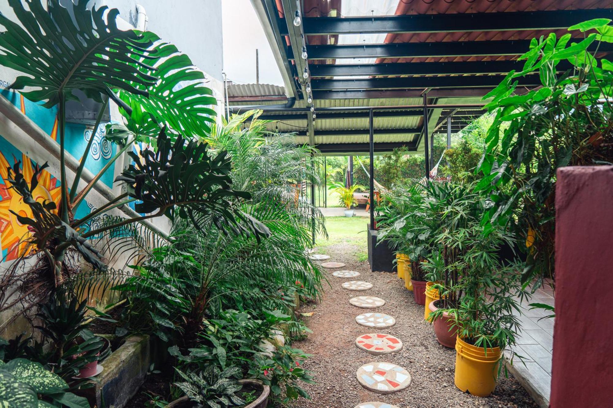Bodhi Hostel & Lounge El Valle de Anton Exterior photo